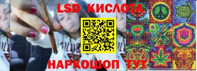 гашик Заводоуковск