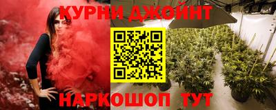 амф Заволжье