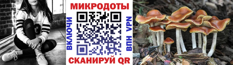 МЕГА как зайти  Михайловка  Галлюциногенные грибы Cubensis 
