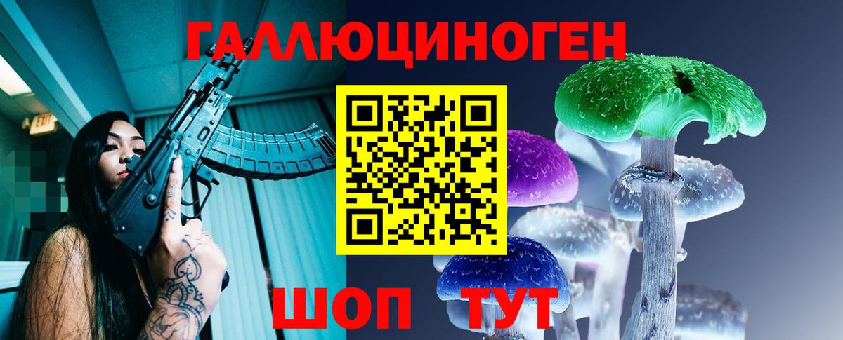 Михайловка  Псилоцибиновые грибы Cubensis  Вход с VPN 