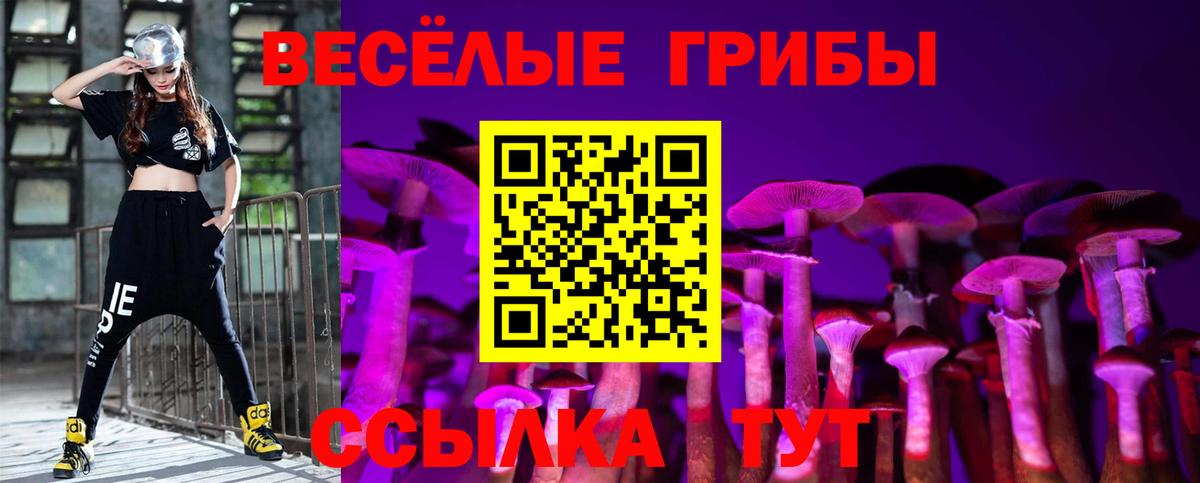 Псилоцибиновые грибы Magic Shrooms Михайловка